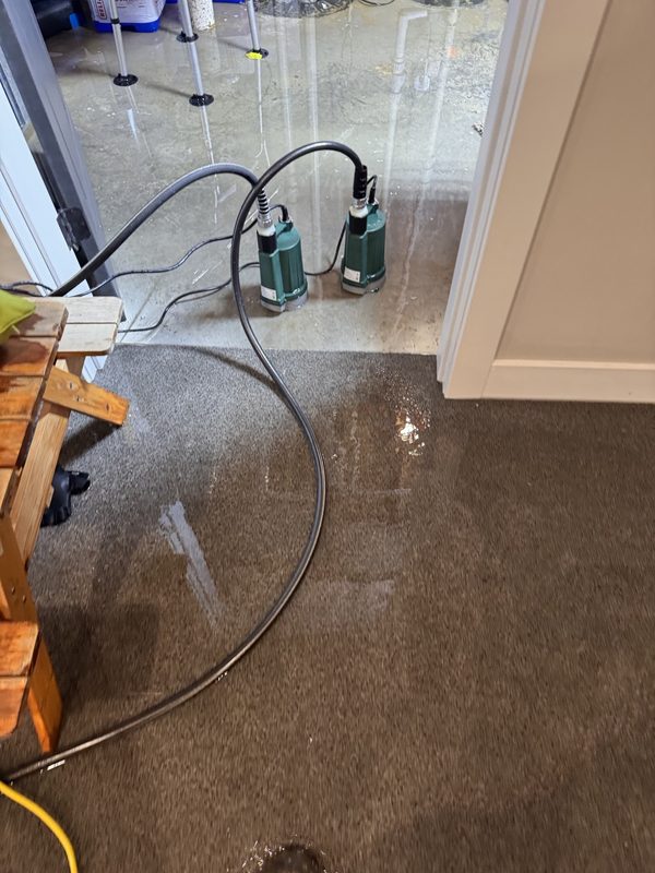 Flood pump extraction services